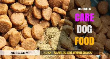 Top Dental Care Dog Foods for a Healthy Smile