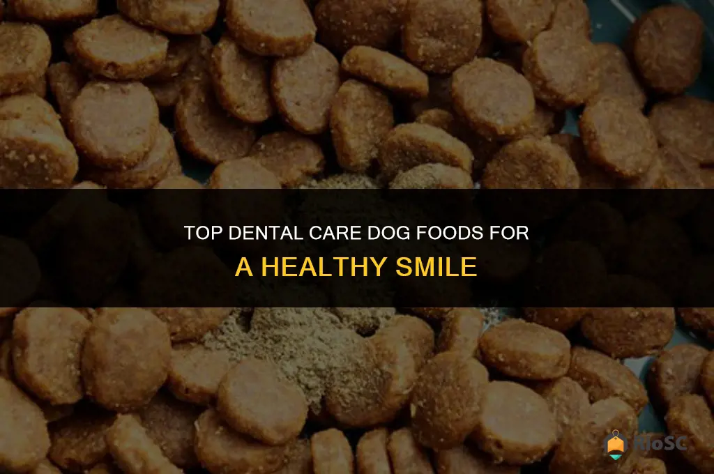 best dental care dog food