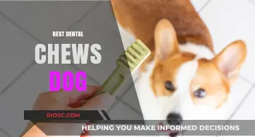 Top Dental Chews for Dogs: Keep Your Pup's Teeth Healthy and Clean