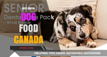 Top Dental Dog Food Options in Canada for Optimal Oral Health