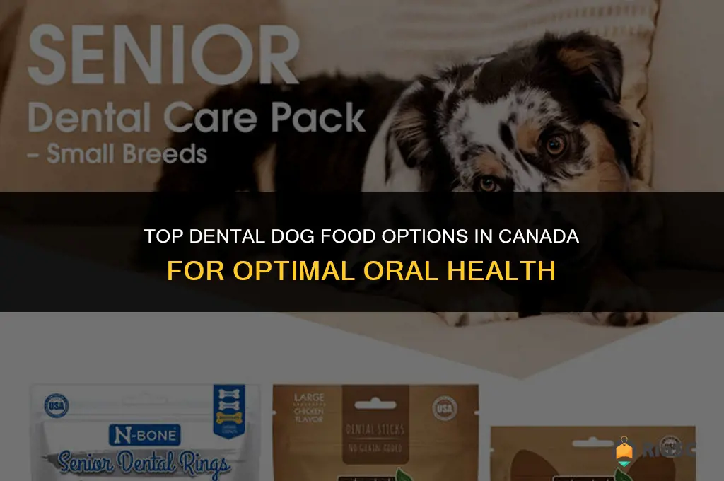 best dental dog food canada