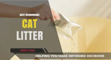 Top Picks for Odor-Free Homes: The Best Deodorizing Cat Litters of the Year