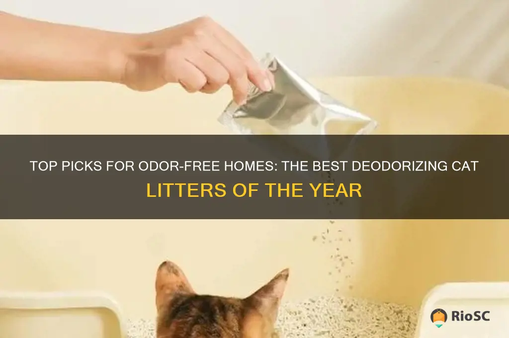 best deodorising cat litter