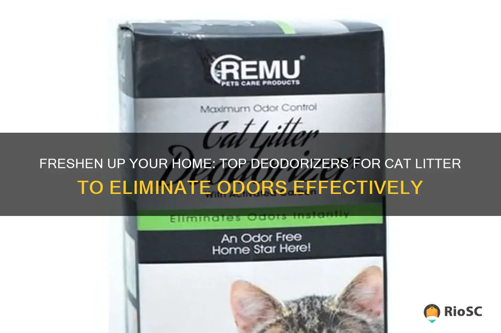 best deodorizer for cat litter