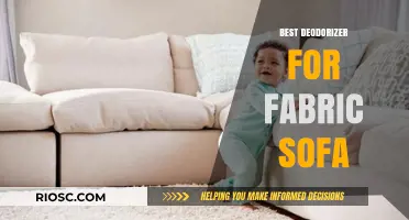 Freshen Up Your Fabric Sofa: Top Deodorizers to Eliminate Odors and Restore Comfort
