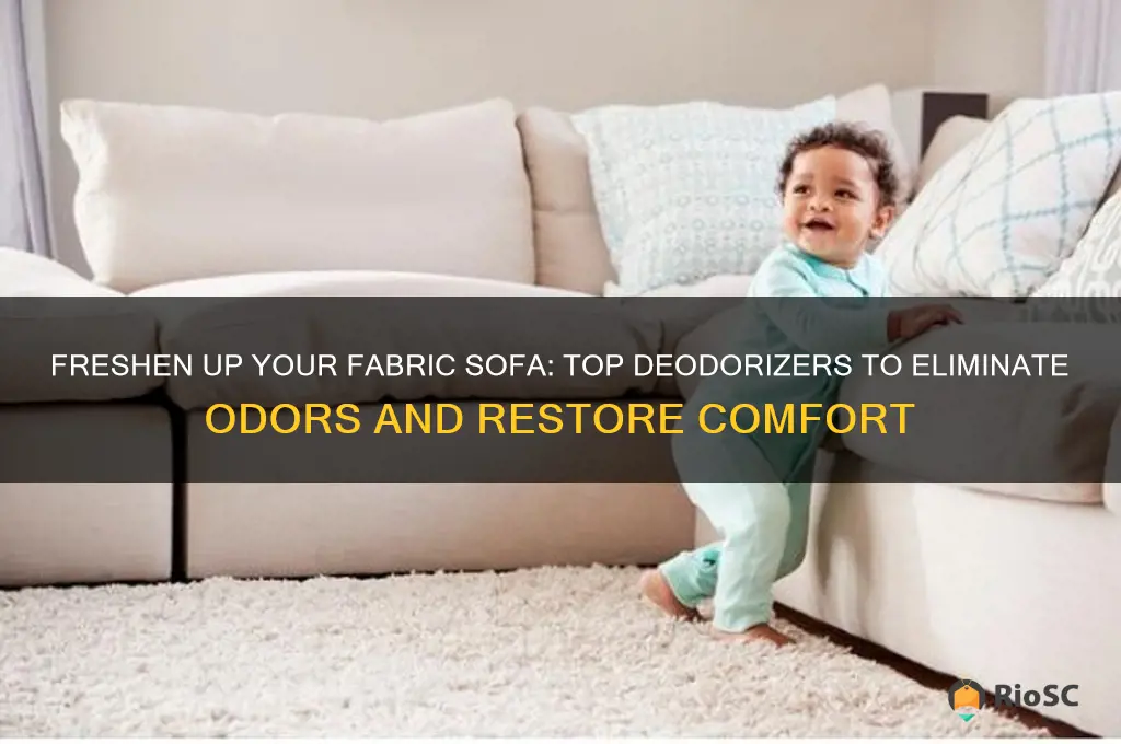 best deodorizer for fabric sofa