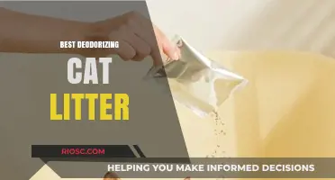 Fresh Feline Solutions: Top Deodorizing Cat Litter Options for Odor-Free Homes