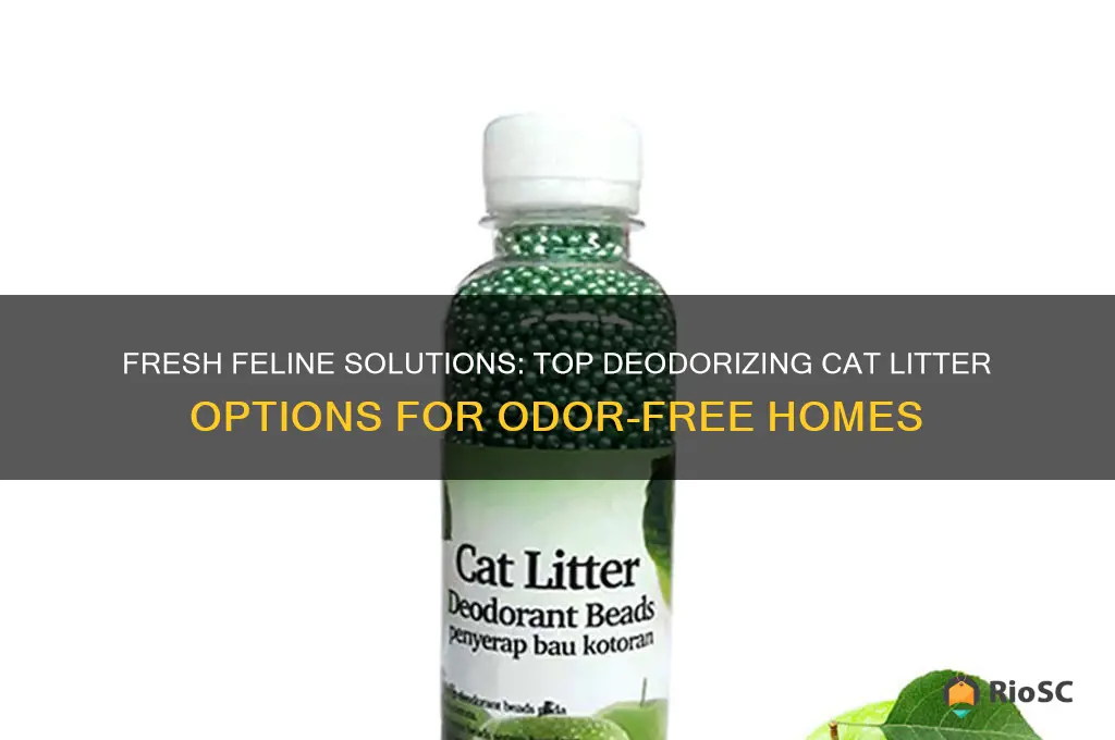 best deodorizing cat litter