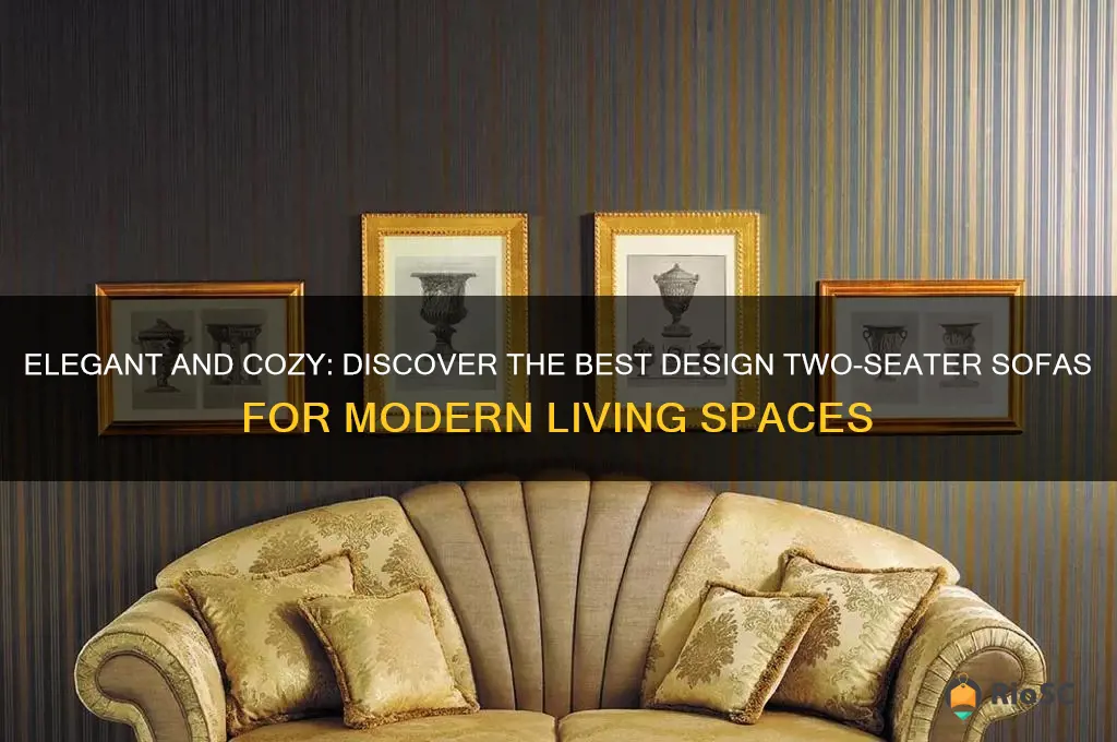 best design two seater sofa