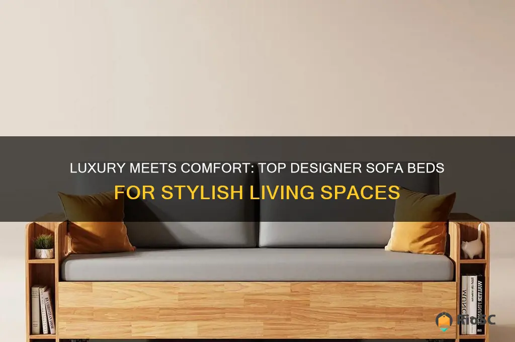 best designer sofa beds