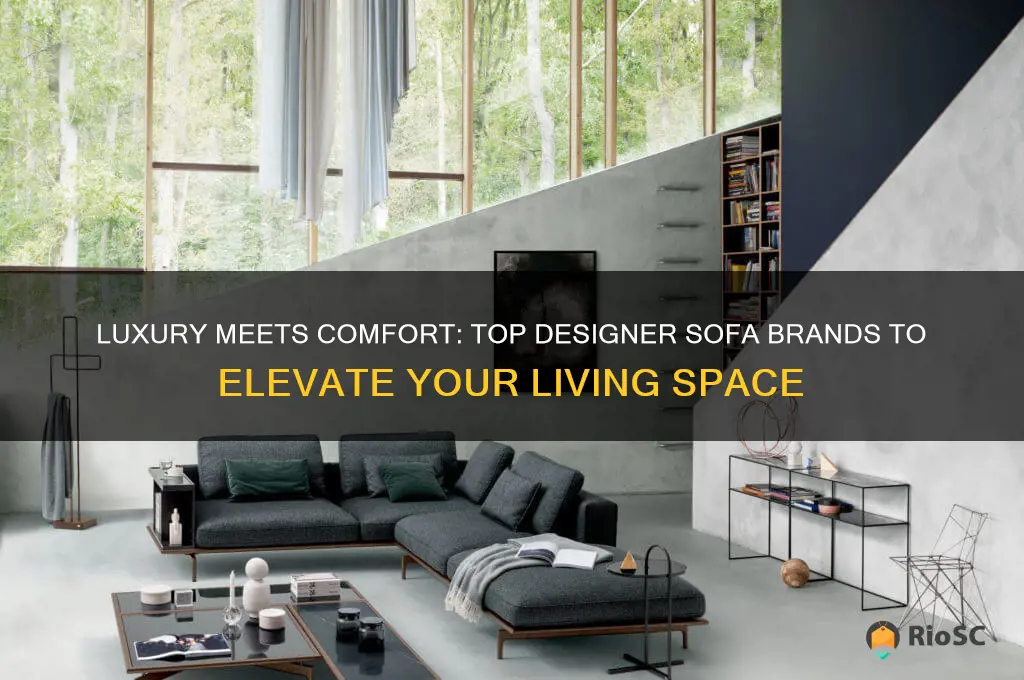 best designer sofa brands