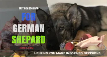Top Picks: Premium Dog Food for Your German Shepherd's Optimal Health
