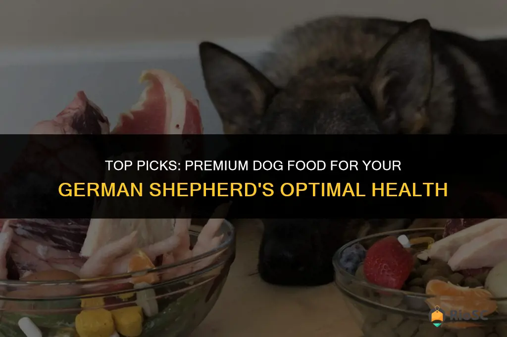 best dey dog food for german shepard