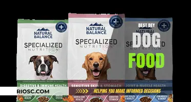 Top Picks for Your Furry Friend: The Best Dry Dog Food Options