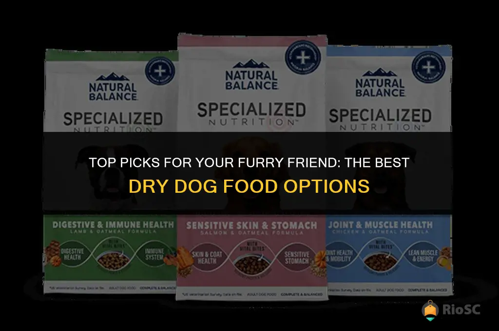 best dey dog food