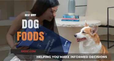 Top Picks for Your Furry Friend: The Best Dry Dog Foods of 2024