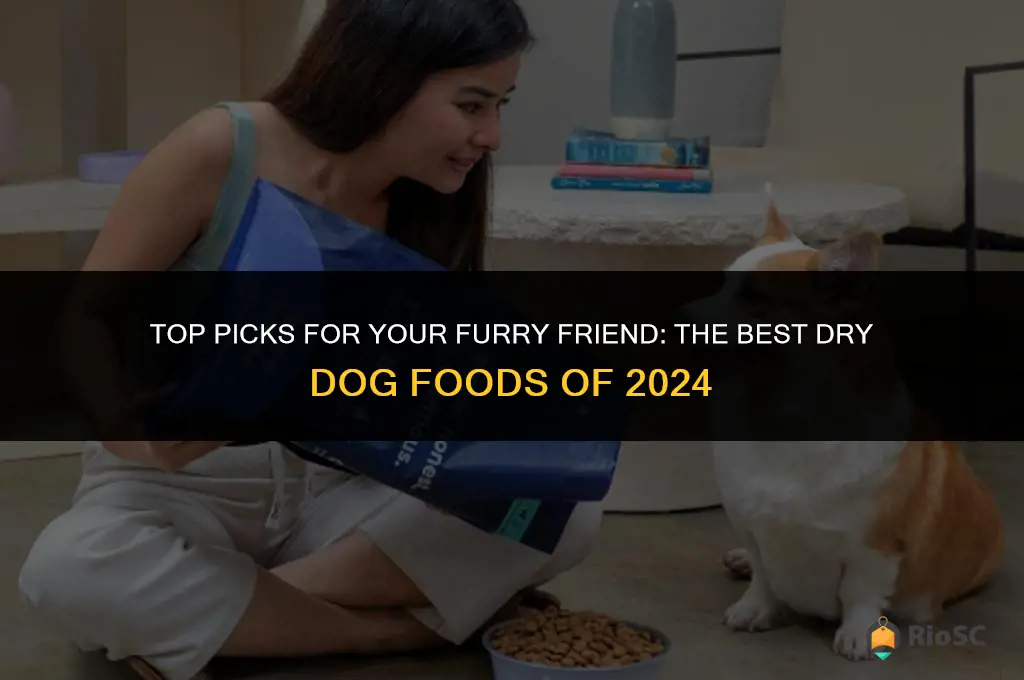 best dfry dog foods