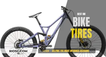 Ripping Downhill: The Ultimate Guide to Choosing the Best DH Bike Tires