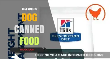 Top Picks for Diabetic Dogs: The Best Canned Food Options to Manage Your Pet's Health