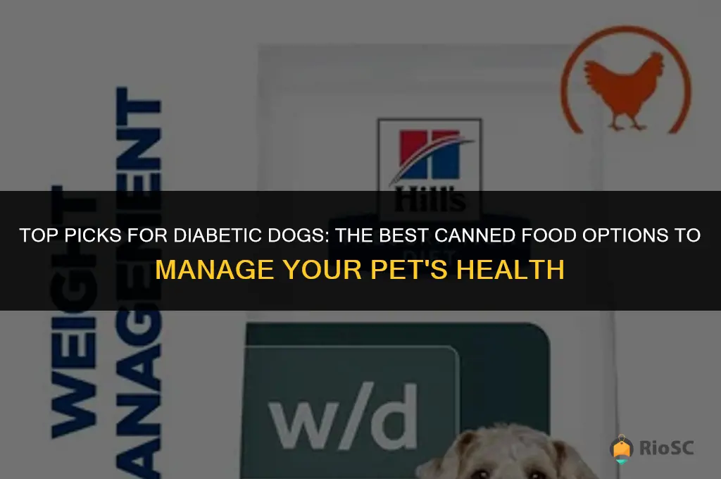 best diabetic dog canned food