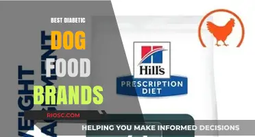 Top-Rated Diabetic Dog Food Brands for Optimal Canine Health