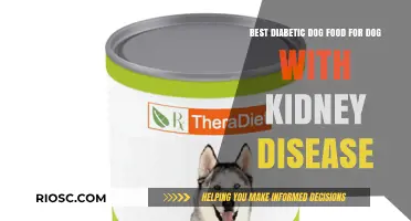 Optimal Nutrition for Diabetic Dogs with Kidney Disease: A Comprehensive Guide to the Best Dog Food Choices