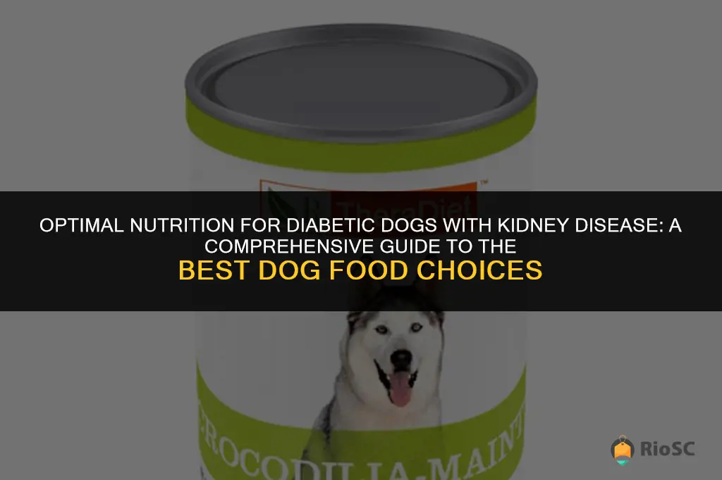 best diabetic dog food for dog with kidney disease