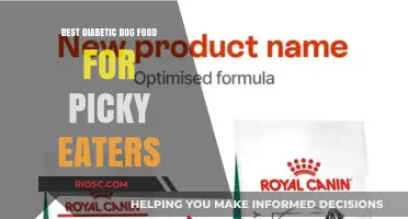 Top Picks for Diabetic Dog Food That Even Picky Eaters Will Love