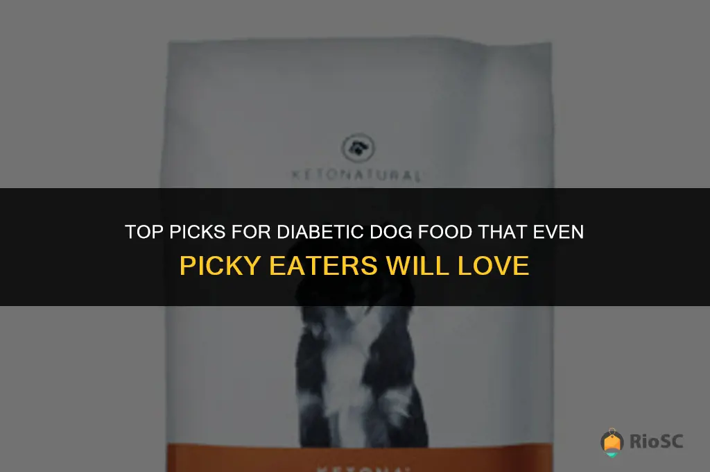 best diabetic dog food for picky eaters