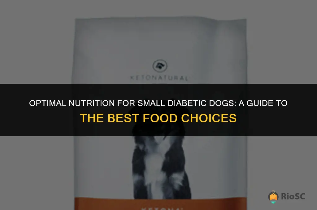 best diabetic dog food for small dogs