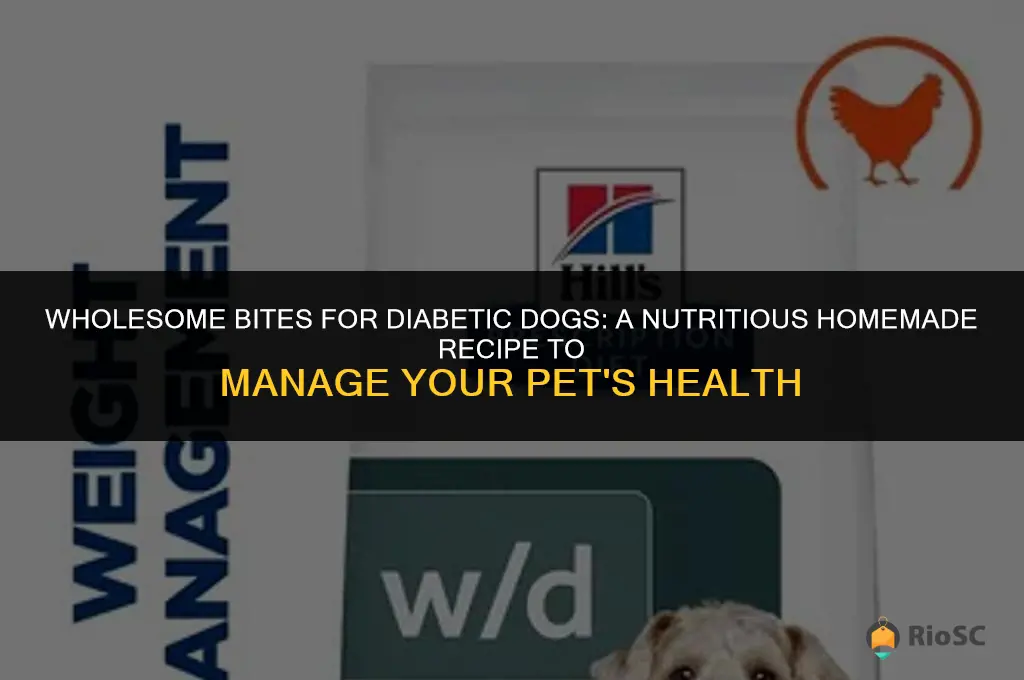 best diabetic dog food recipe