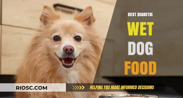 Top Picks for Diabetic-Friendly Wet Dog Food: A Comprehensive Guide
