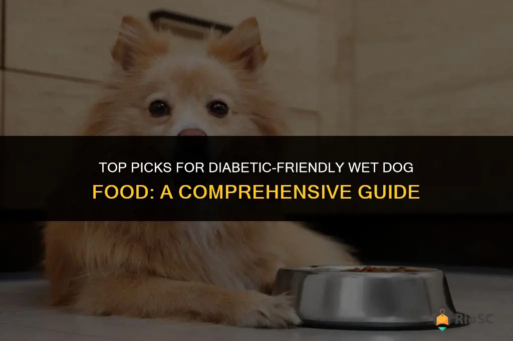 best diabetic wet dog food