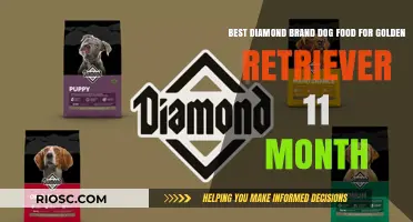Top Diamond Brand Dog Food Picks for Your 11-Month Golden Retriever