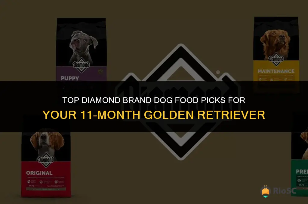 best diamond brand dog food for golden retriever 11 month