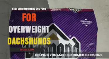 Top Diamond Brand Dog Food Options for Overweight Dachshunds: A Comprehensive Guide