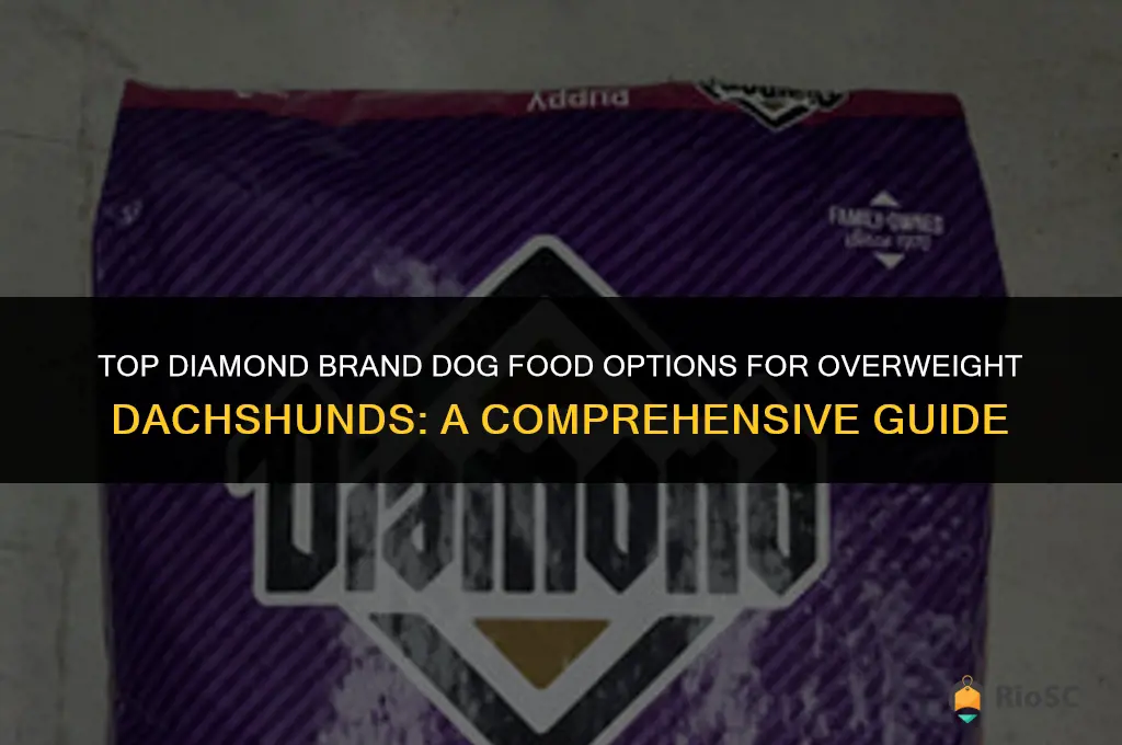 best diamond brand dog food for overweight dachshunds