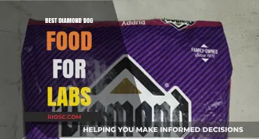 Diamond Dog Food for Labs: Top Picks for Your Furry Friend's Nutrition