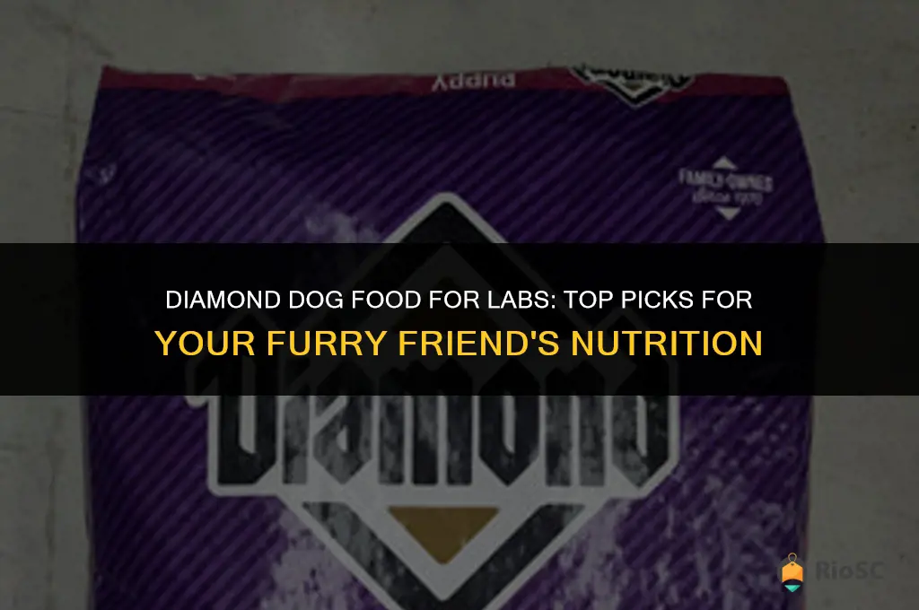best diamond dog food for labs