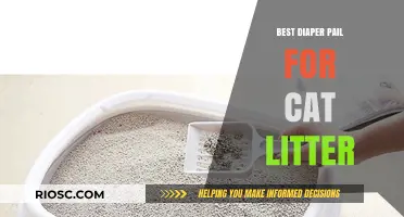 Top Diaper Pail Alternatives for Odor-Free Cat Litter Management