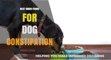 Natural Remedies for Canine Constipation: Top Fiber-Rich Foods to Ease Your Dog's Discomfort