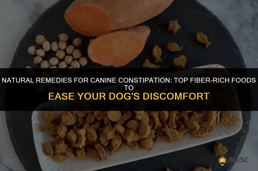 best diber foods for dog constipation