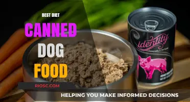 Top Picks for Your Furry Friend: The Best Diet Canned Dog Foods for Optimal Health