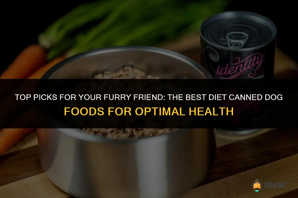 best diet canned dog food