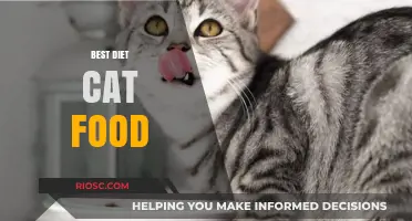 Whiskers' Wellness: Unveiling the Ultimate Guide to the Best Diet Cat Food for Optimal Feline Health