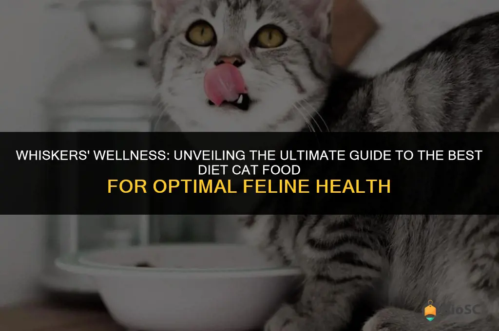 best diet cat food