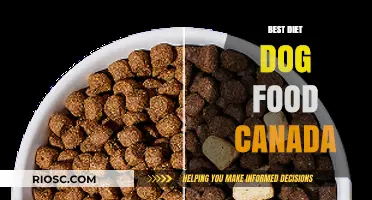 Top-Rated Diet Dog Foods in Canada: A Comprehensive Guide for Health-Conscious Pet Owners