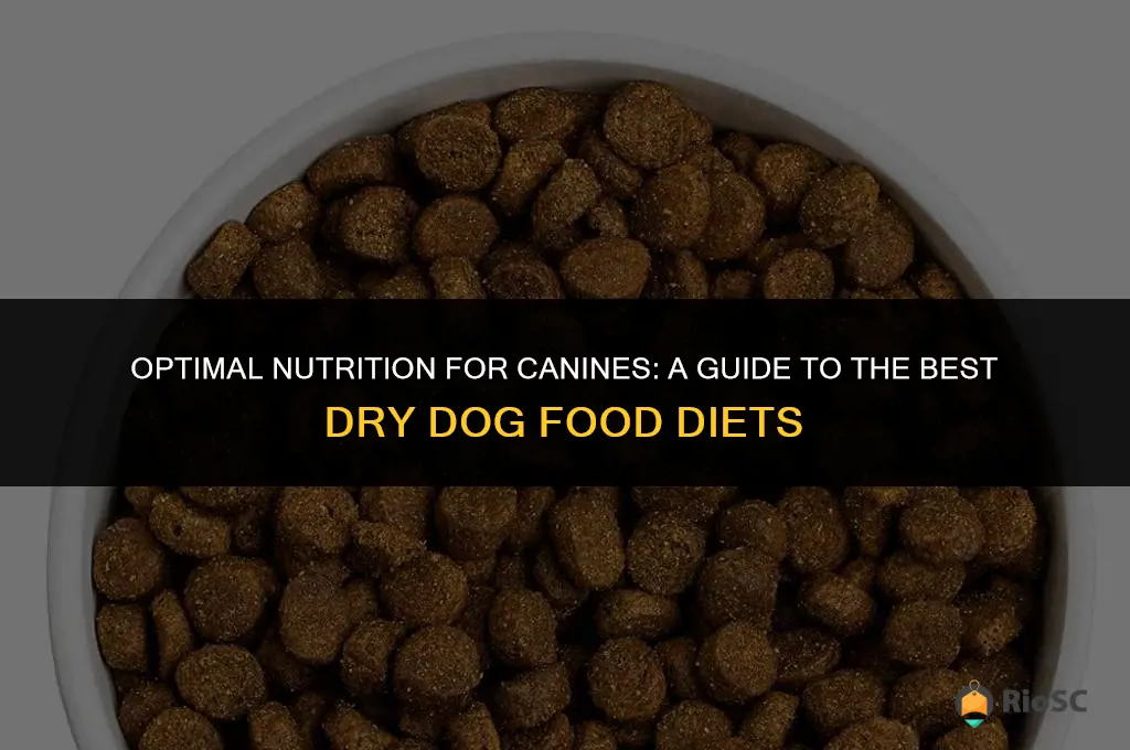 best diet dog food dry