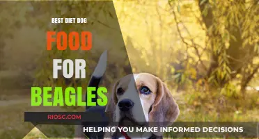 Optimal Nutrition for Beagles: A Guide to the Best Diet Dog Foods