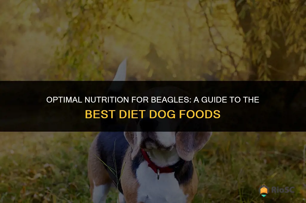 best diet dog food for beagles